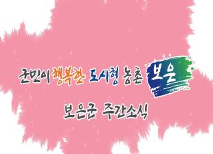 보은군 주간소식 4월 3주차 이미지