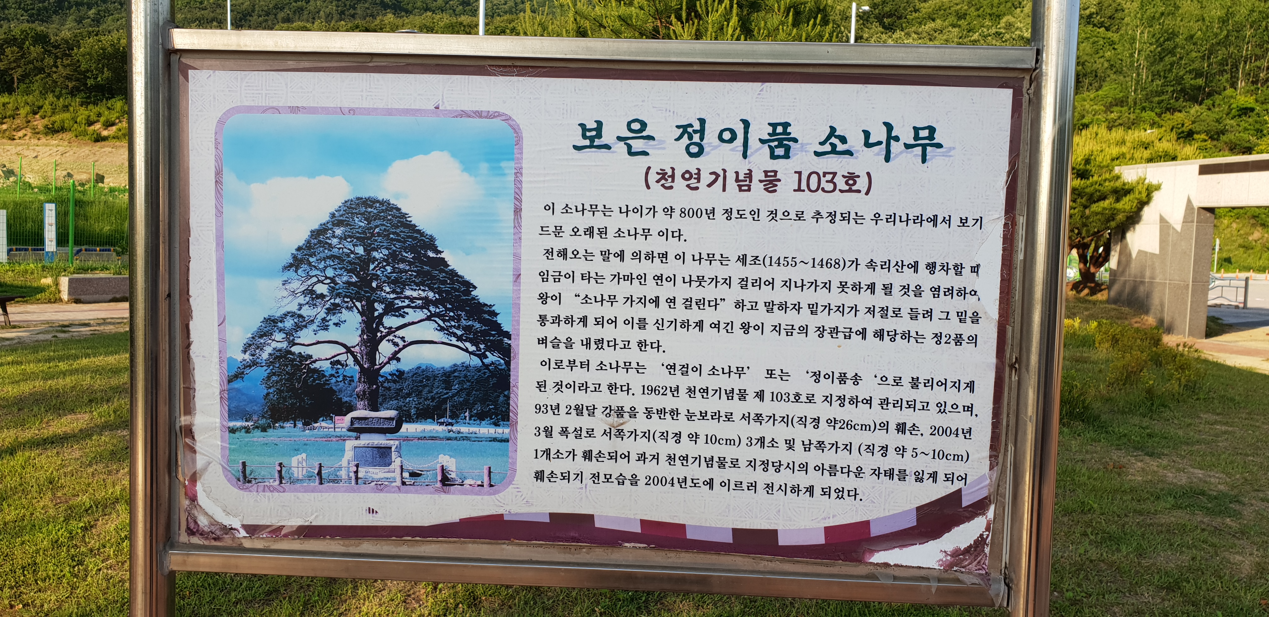 자유게시판 상세 - 소통참여 - 보은군청 자유게시판 | 보은군청