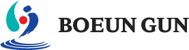 BOEUN GUN LOGO