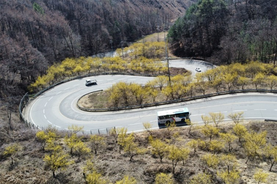 산외면 사진