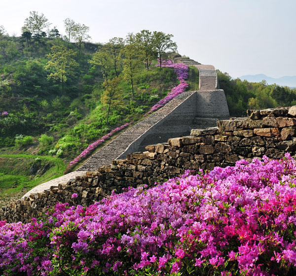 삼년산성 이미지