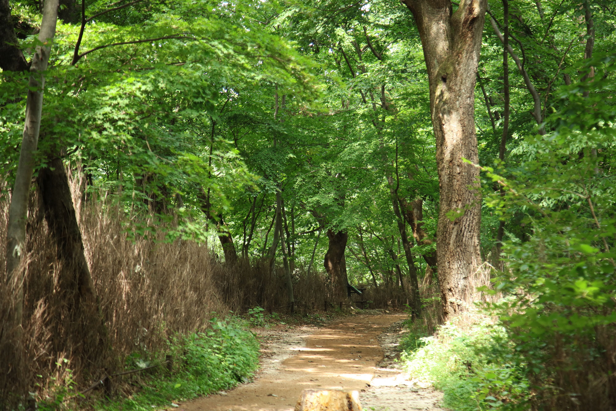 세조길