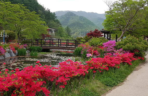 두메마을 쉼터 이미지5