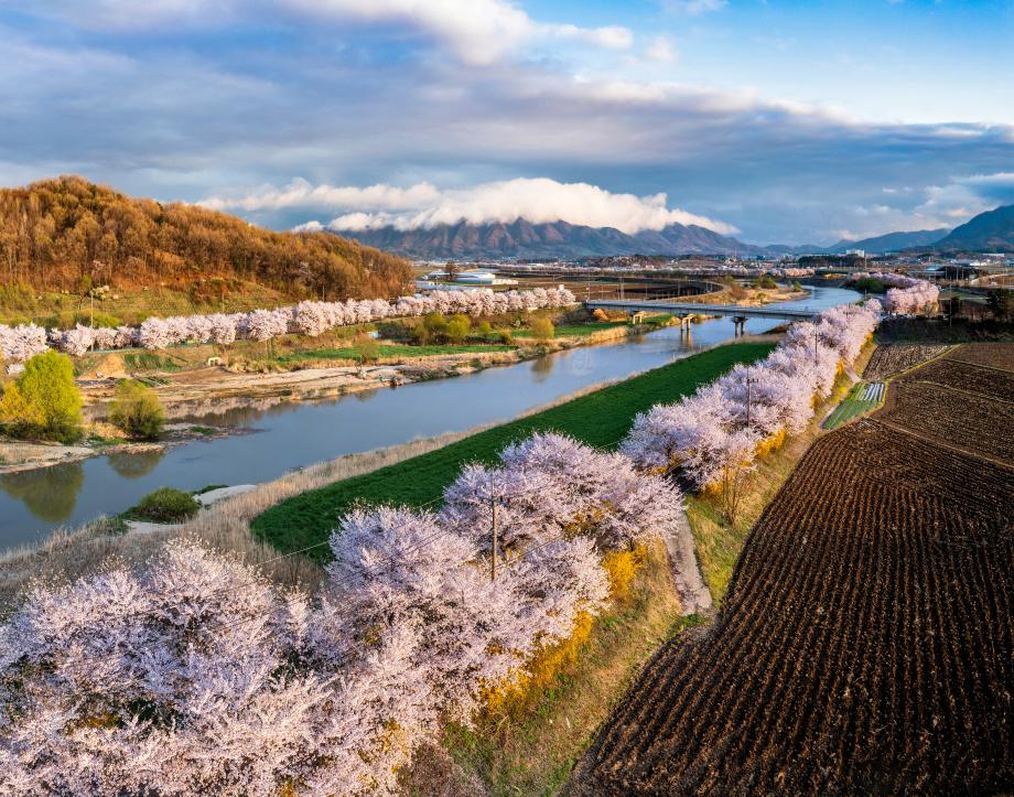 김영수-구병산과 보청천 이미지